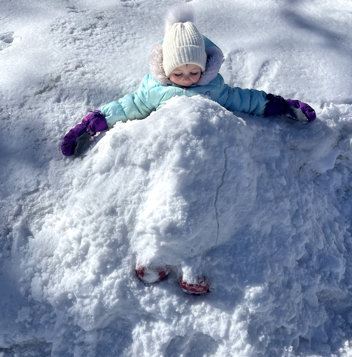 Nature school activity